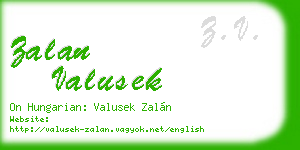 zalan valusek business card